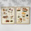 Champignon III - Reproduction encadrée de qualité supérieure - prêt à être accroché - aucun clou requis - aucun clou requis-1364198757-1364198754