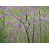 Wrapped Canvas selected