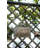 Slavin Metal Wall Planter-1092073627