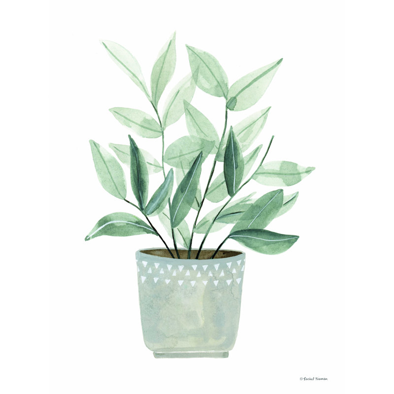 " Sage Planter ", 16" H x 12" W