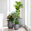 Pot de fleurs Dorlis Fiberstone-930299748-930299739