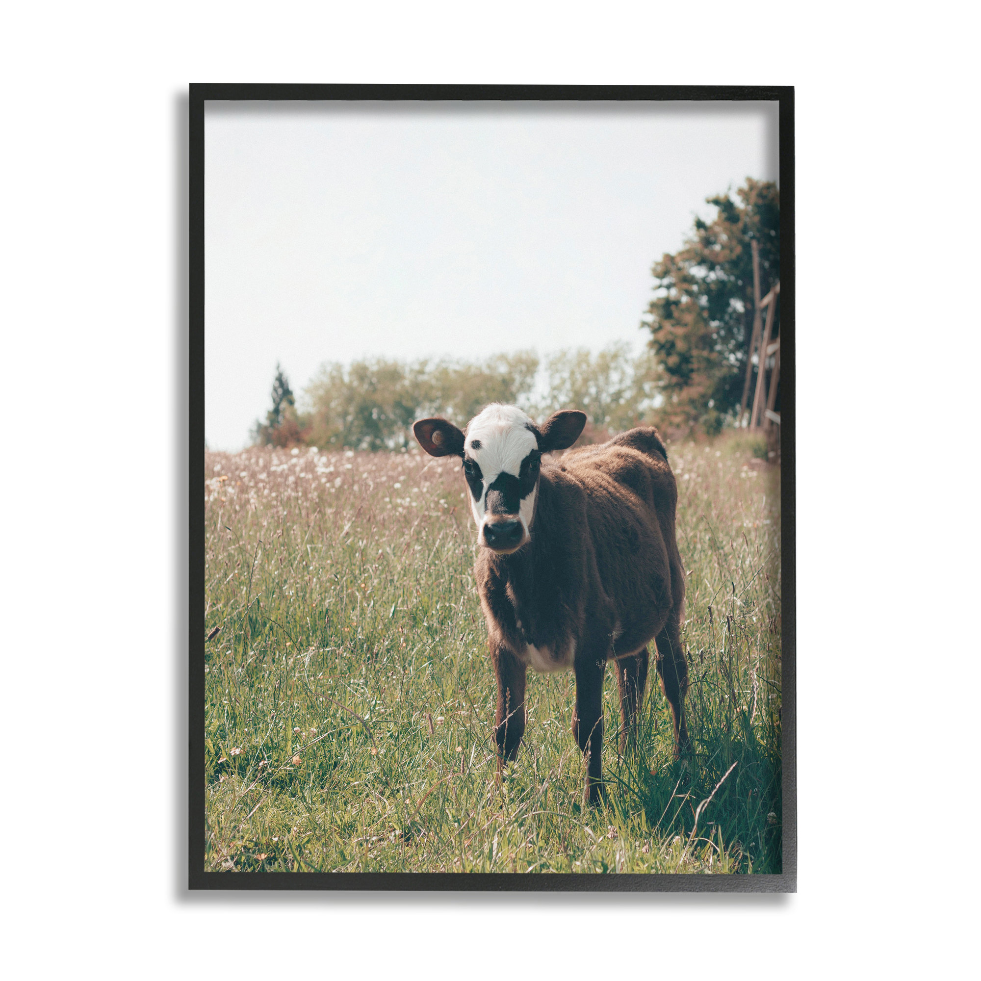 Stupell Industries Cow Calf Rural Farm Meadow Framed On Wood by Krista ...