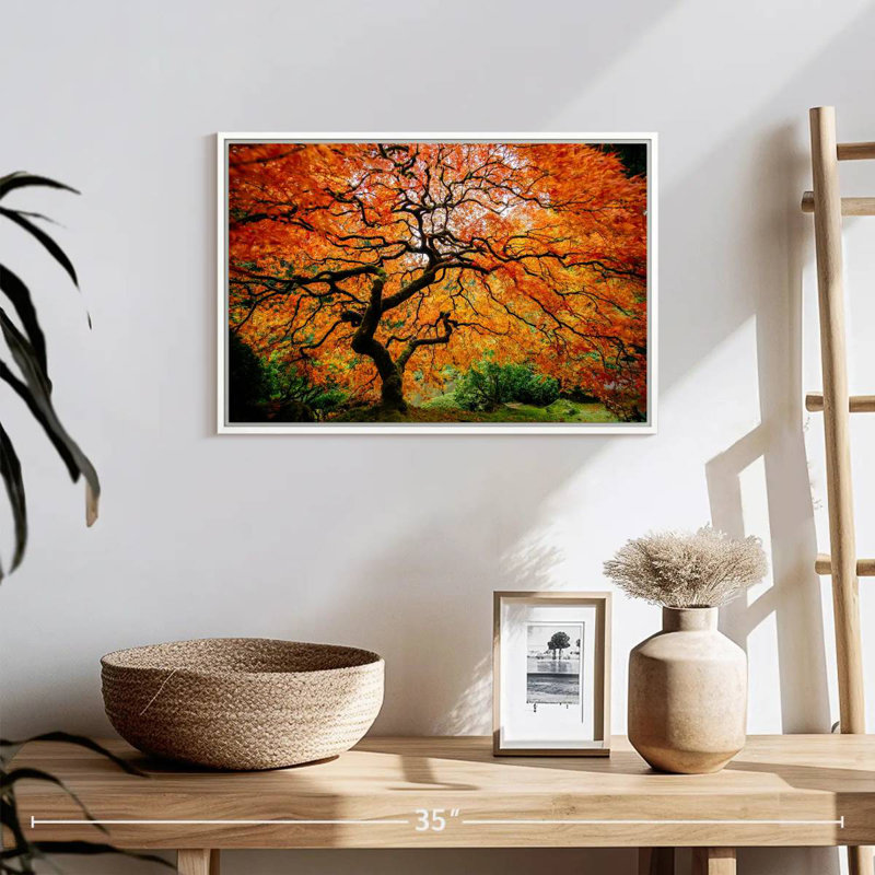 Automne érable japonais, Cadre flottant blanc, 19 po x 13 po
