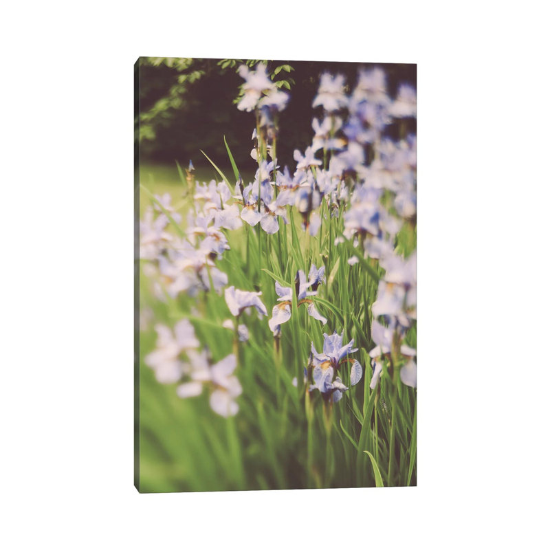 Garden Party II by Olivia Joy StClaire - Wrapped Canvas Print, 66.04 cm H x 45.72 cm W x 3.175 cm D