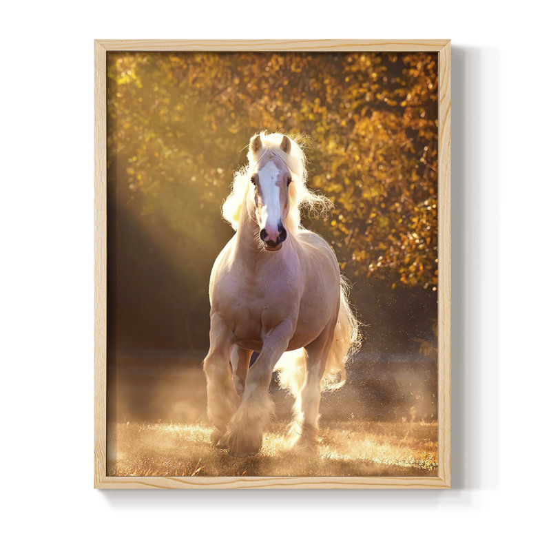 Impression encadrée «Horse Motion» - bois massif, H 11 po x l 9 po