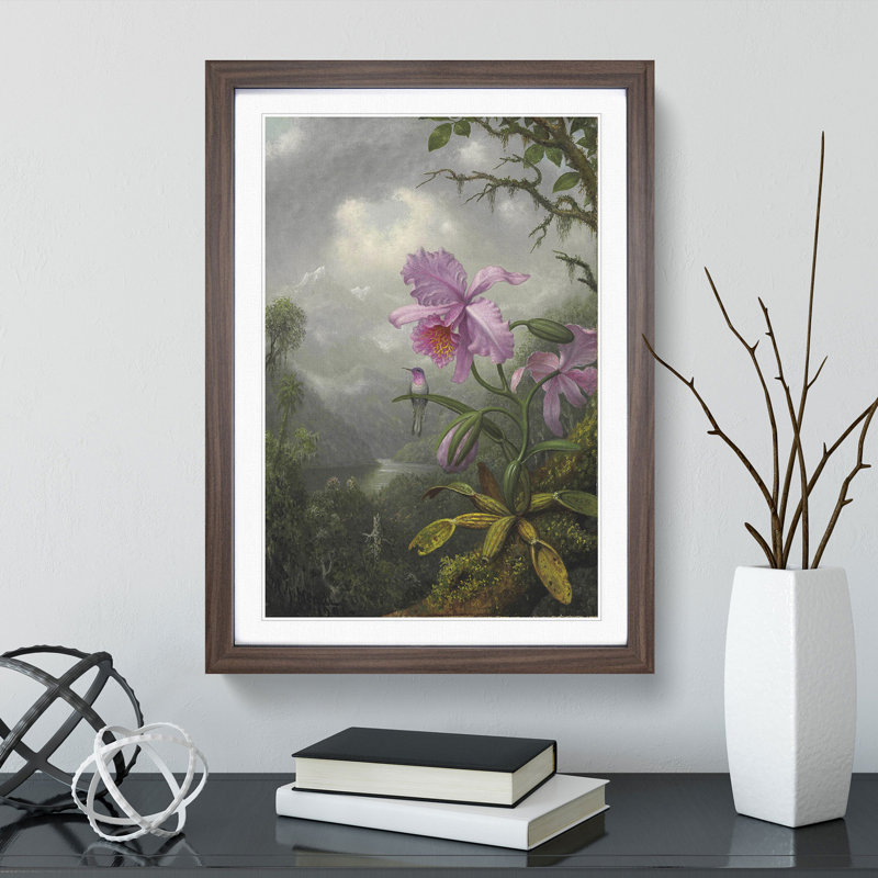Hummingbird on the Orchid Plant by Martin Johnson Heade - Picture Frame Painting, 48cm H x 36cm W x 2cm D, Walnut Framed