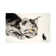 Cat And Mouse by Soo Beng Lim - Wrapped Canvas Gallery-Wrapped Canvas Giclée