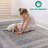 Non-Shedding Function Living Room Bedroom Dining Home Office Stylish And Stain Resistant Area Rug-1698346504