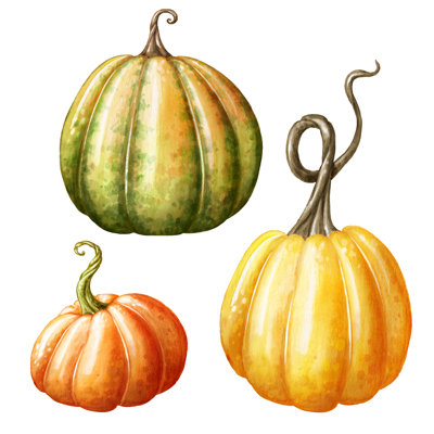Watercolour Pumpkins by Wacomka - Wrapped Canvas Print
