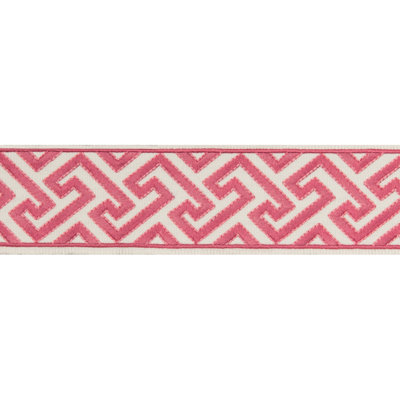 Treillis Passementerie Sanchi Tape 100% Polyester Fabric