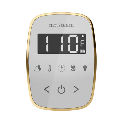 TempoFlex Steam Shower Control and Steamhead