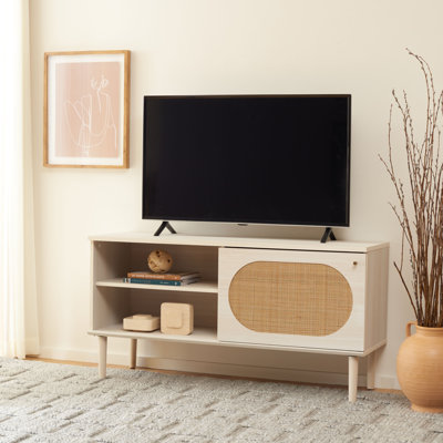 Claude 1 Door 2 Shelf TV Stand by Bay Isle Home