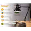 Lampe de bureau 16,93 po noire