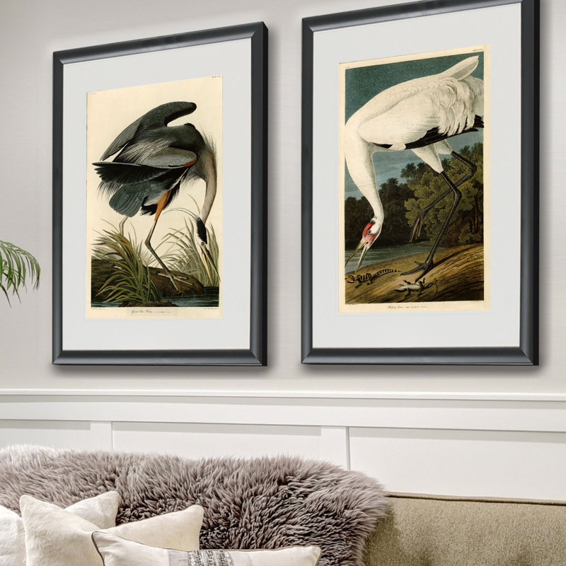« audobon set 2 », ensemble de 2 reproductions de peintures à l’acrylique encadrées, Noir