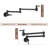 PROOX Kitchen Faucet-60632248