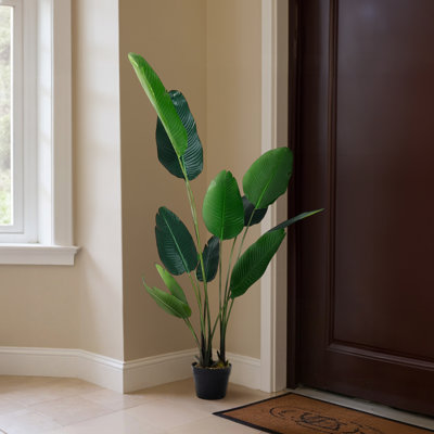 180cm Faux Bonsai Plant in Fabric；Plastic Freestanding