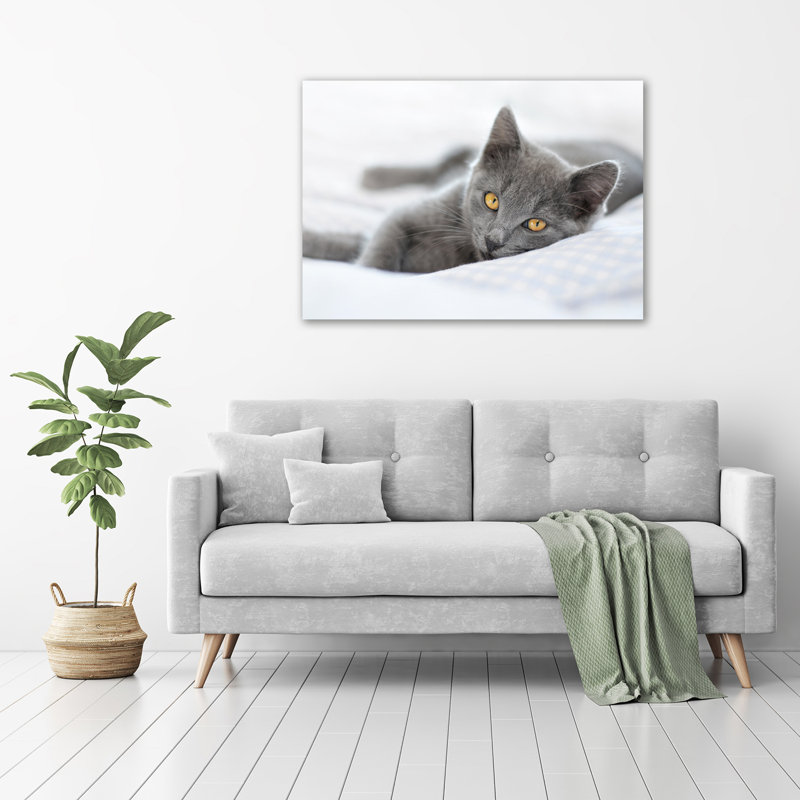 Gray Cat - Wrapped Canvas Print