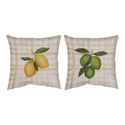 Coussin manuel 18 po x 18 po blanc et vert agrumes