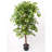 Emerald Artificial Ficus Vine Tree Deluxe 140cm in Pot