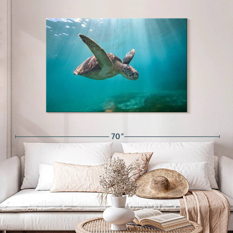 Tortue de mer Brampt Martinique, H 32 po x l 48 po