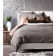 Fossil Abstract Pillow Sham