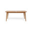 Table de salle à manger d'extérieur durable et extensible