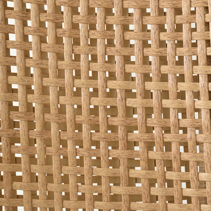Ensemble de 4 chaises de salle à manger rembourrées en rotin PE