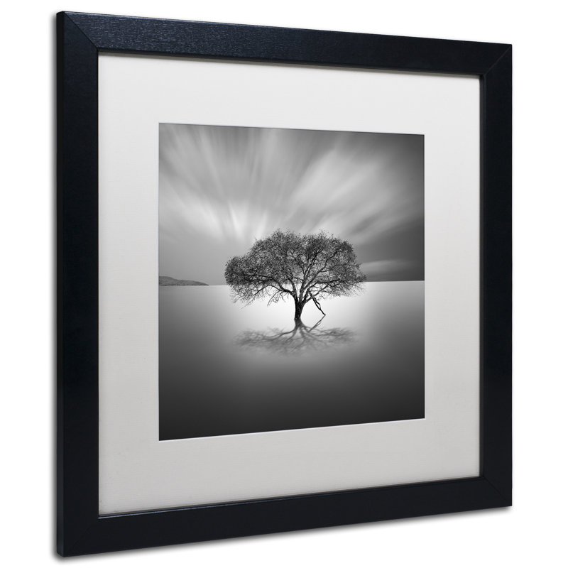 « water tree viii », reproduction de photo sur toile encadrée, H 16 po x l 16 po x P 0,5 po, Blanc