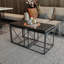 Ensemble de tables basses