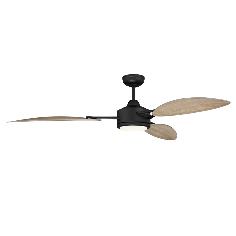 Amdi 64'' Ceiling Fan with LED Lights, Flat Black/Beige