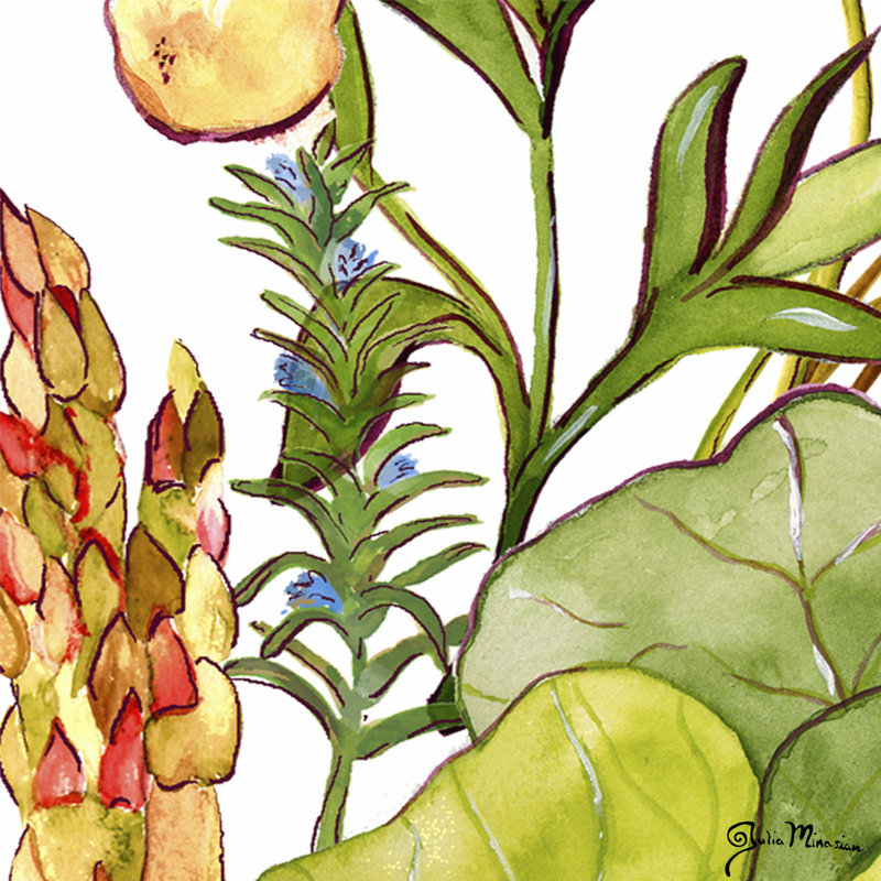 Vegetable Melange I by Julia Minasian - Wrapped Canvas Print, 30cm H x 30cm W x 3.8cm D