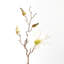 Magnolia Etoile-981108772