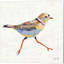 «Coastal Plover Linen» par Jeanette Vertentes, art sur toile (ensemble de 4)