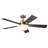 52'' Ceiling Fan with LED Lights-1614424767