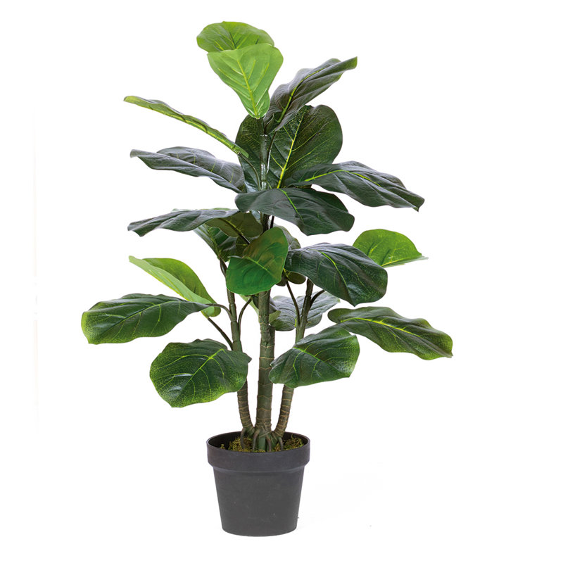20 cm H Faux Ficus Plant in Plastic Pot