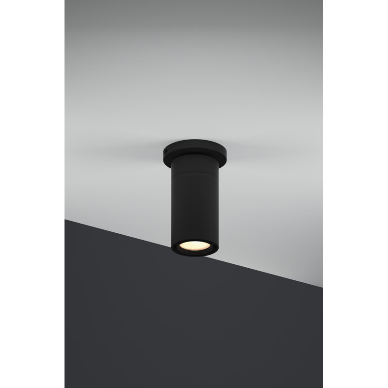 GX 25 LED Flush Mount, Black
