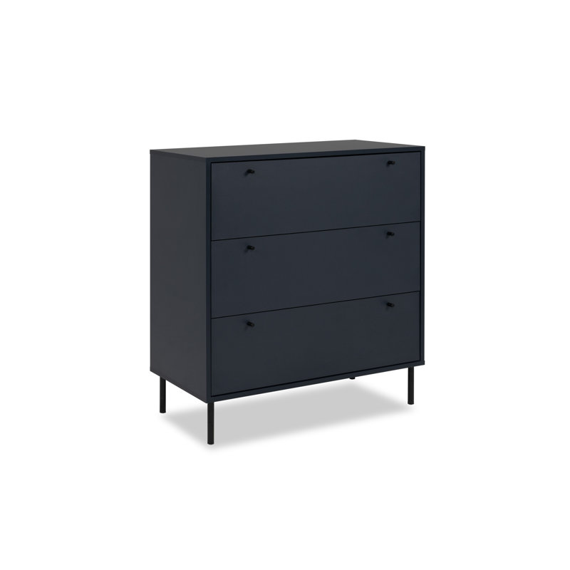 Aydren Modern Storage Unit Accent Chest