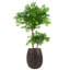 Handmade Pot Planter-112376038