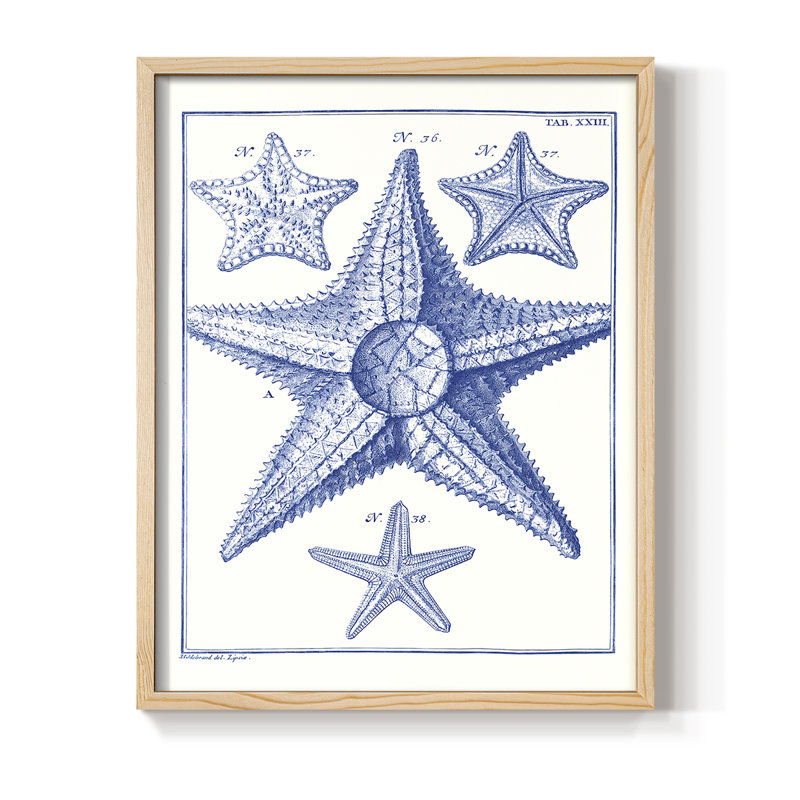 Blue Sea Stars VI, reproduction encadrée - bois massif, H 11 po x l 9 po