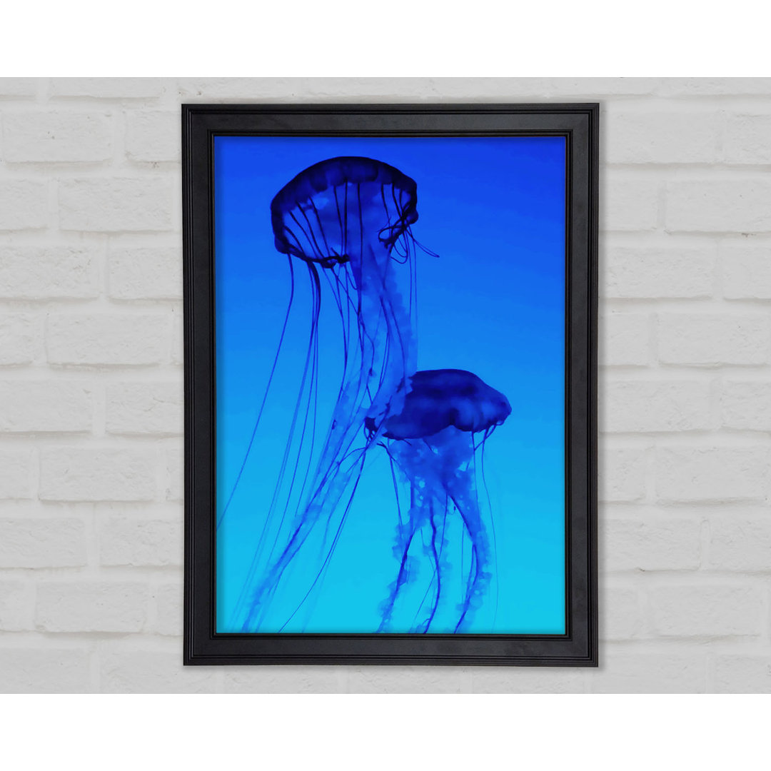 Gerahmtes Leinwandbild Jellyfish Duo