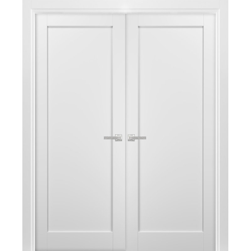 Portes françaises à double panneau avec quincaillerie | Quadro 4111 | Bordures à panneaux | Porte de salle de bain intérieure et robuste