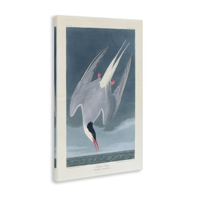 Art mural classique sur toile sterne arctique classique par one1000paintings
