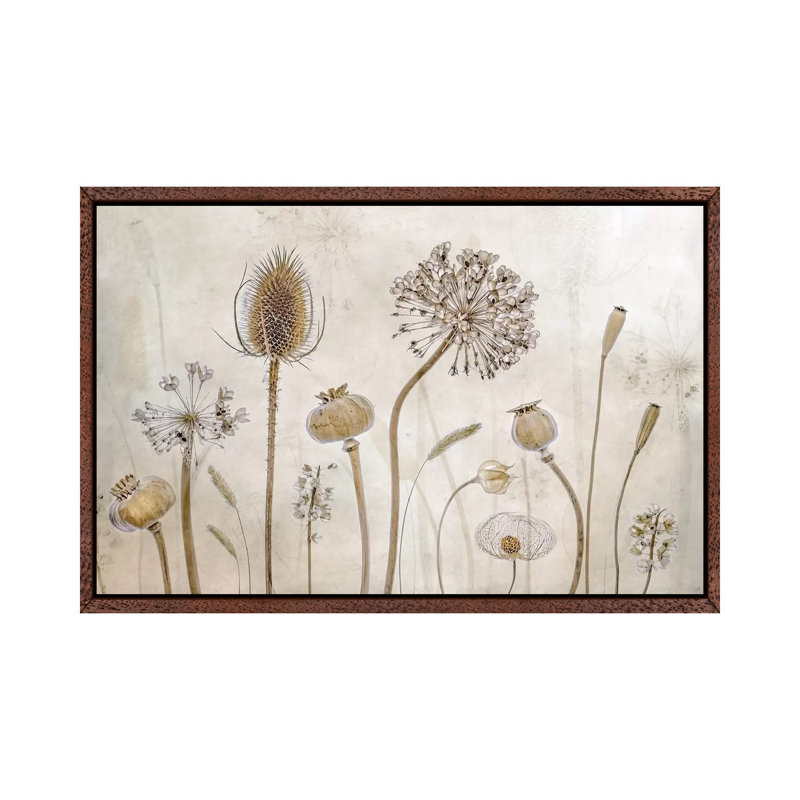 Growing Old by Mandy Disher - Print on Canvas, 45.72cm H x 66.04cm W x 3.81cm D, Classic Brown Wood Framed