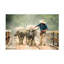 Art sur toile «bolologia ADIREK M No 2»-109345187