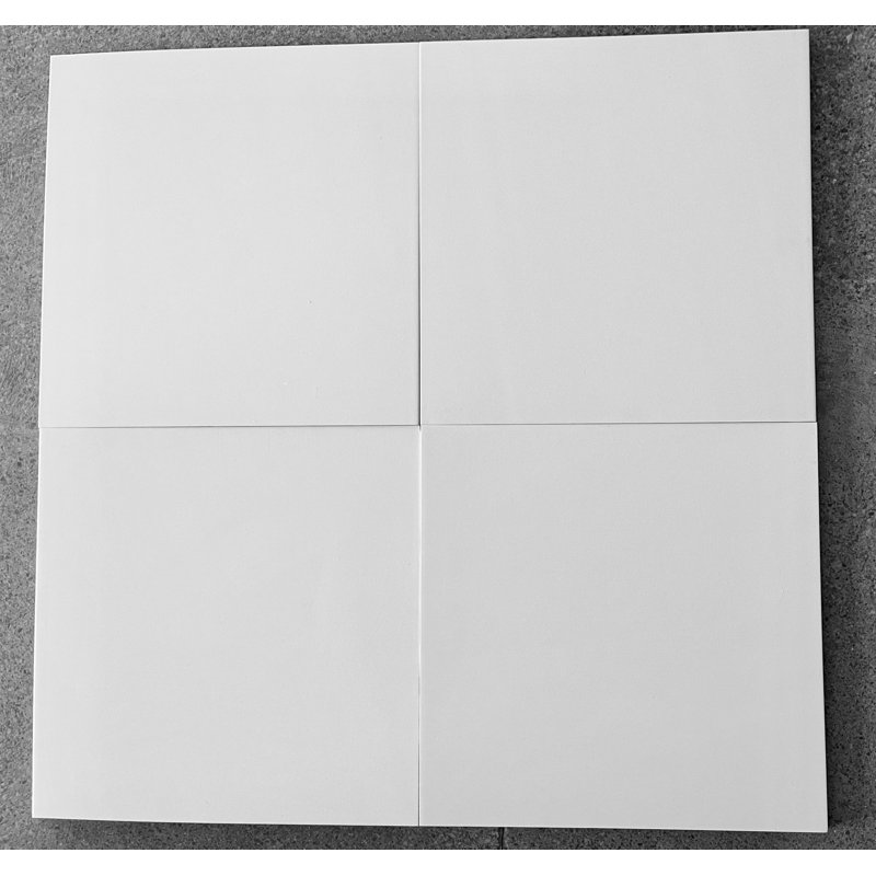 Carreau de céramique 12 po x 12 po Blanca