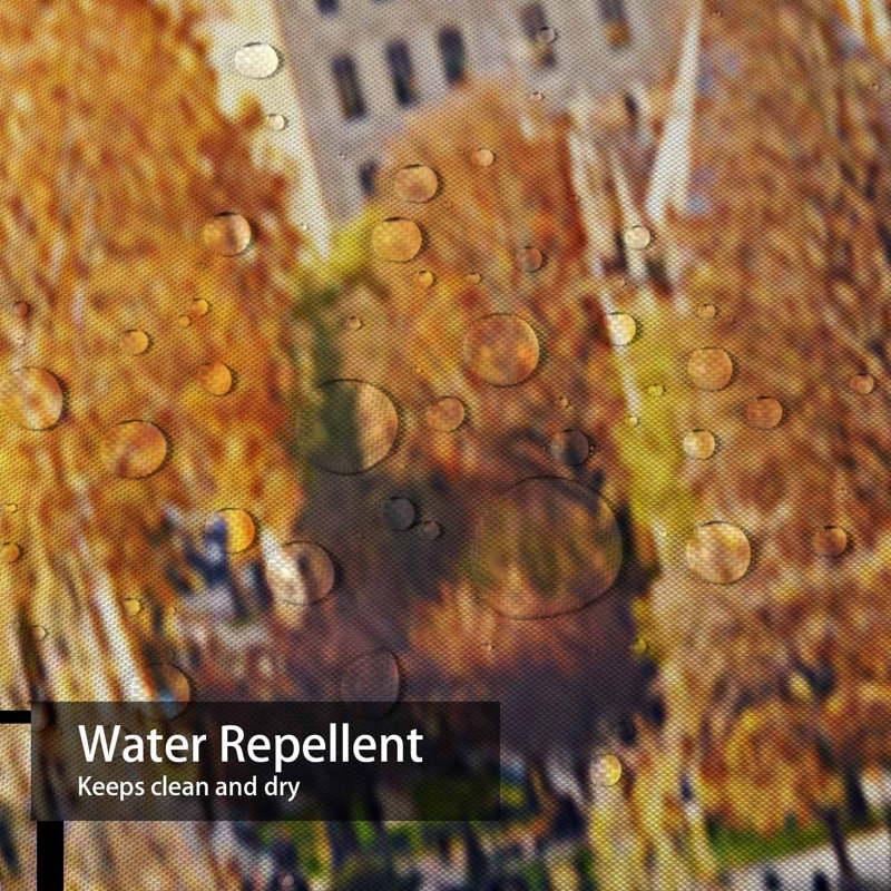 Rideau de douche Paris River, L 72 po x l 78 po
