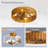 Adiyan 19'' Ceiling Fan with Light Kit