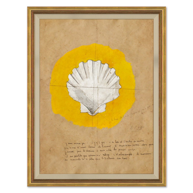«Coquille 1 (var. 4)»