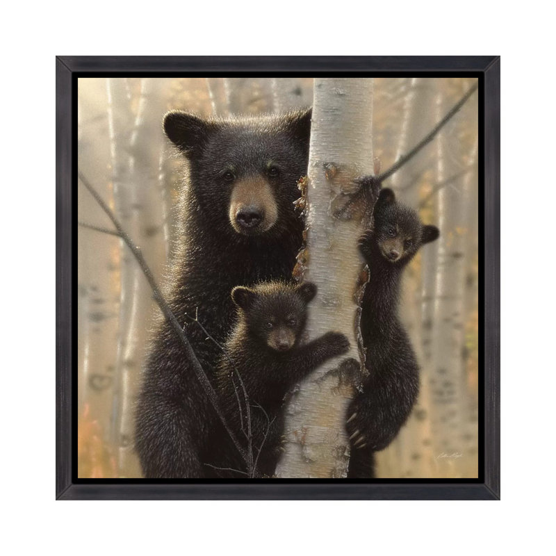 «Mama Black Bear» par Collin Bogle Print, H 37 po x l 37 po x P 1,5 po, Toile avec cadre noir patiné