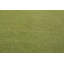 Tapis persan Gabbeh vert pistache 10 x 14
